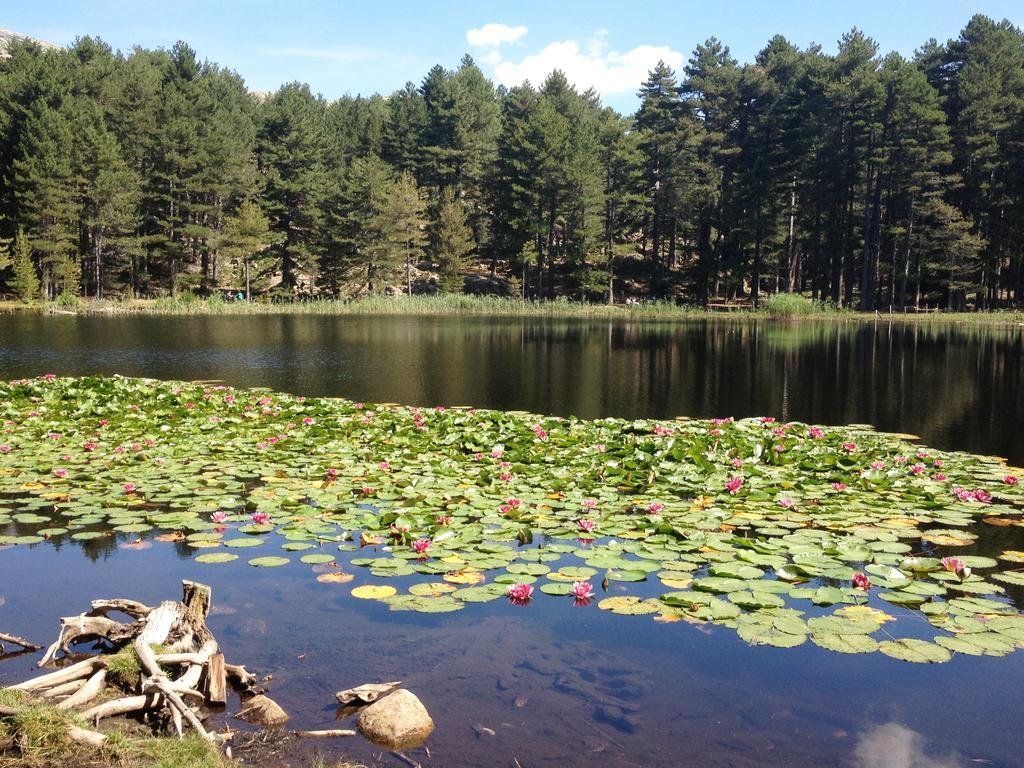 Camping Le Sagone Hotel Sagone  Kültér fotó