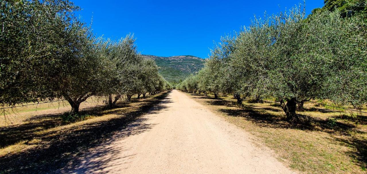 Camping Le Sagone Hotel Sagone  Kültér fotó